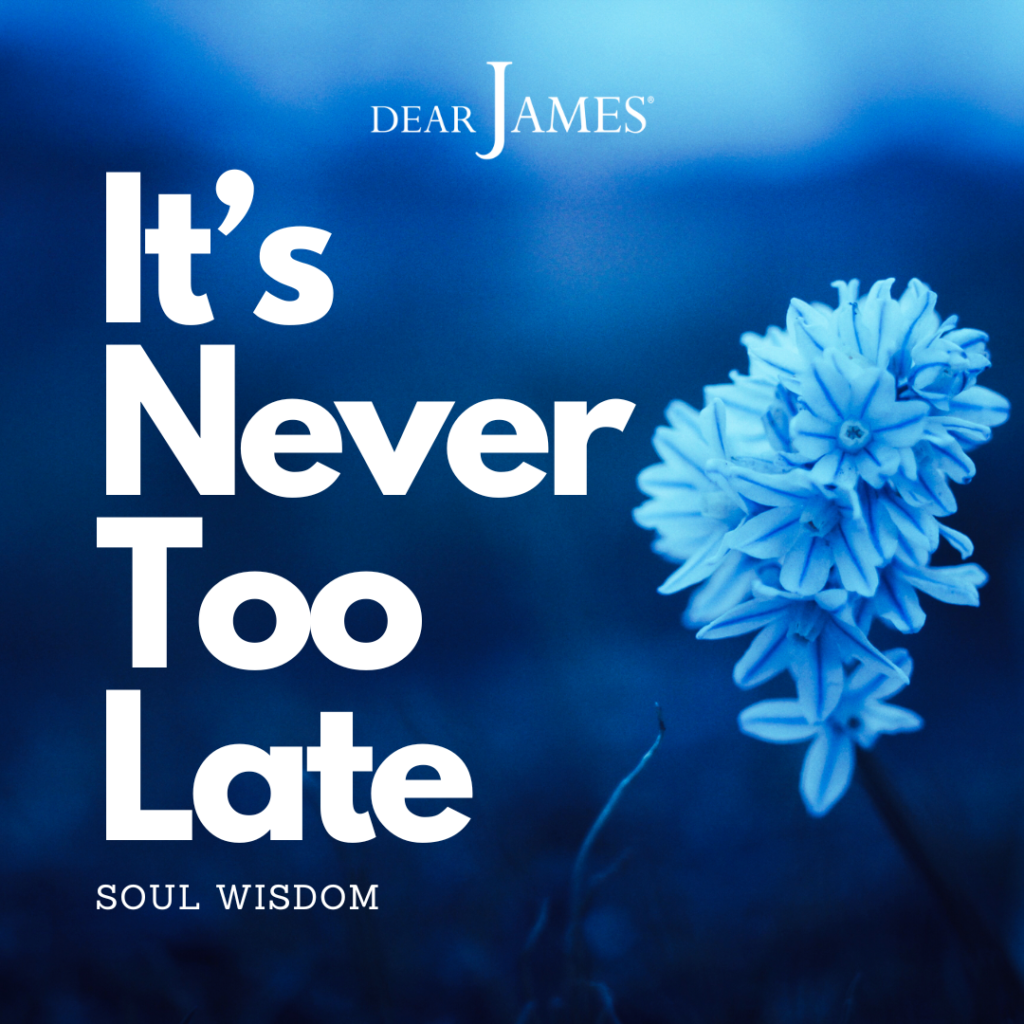 DearJames-Inspiration-Poster-ITS-NEVER-TOO-LATE-Soul-Wisdom