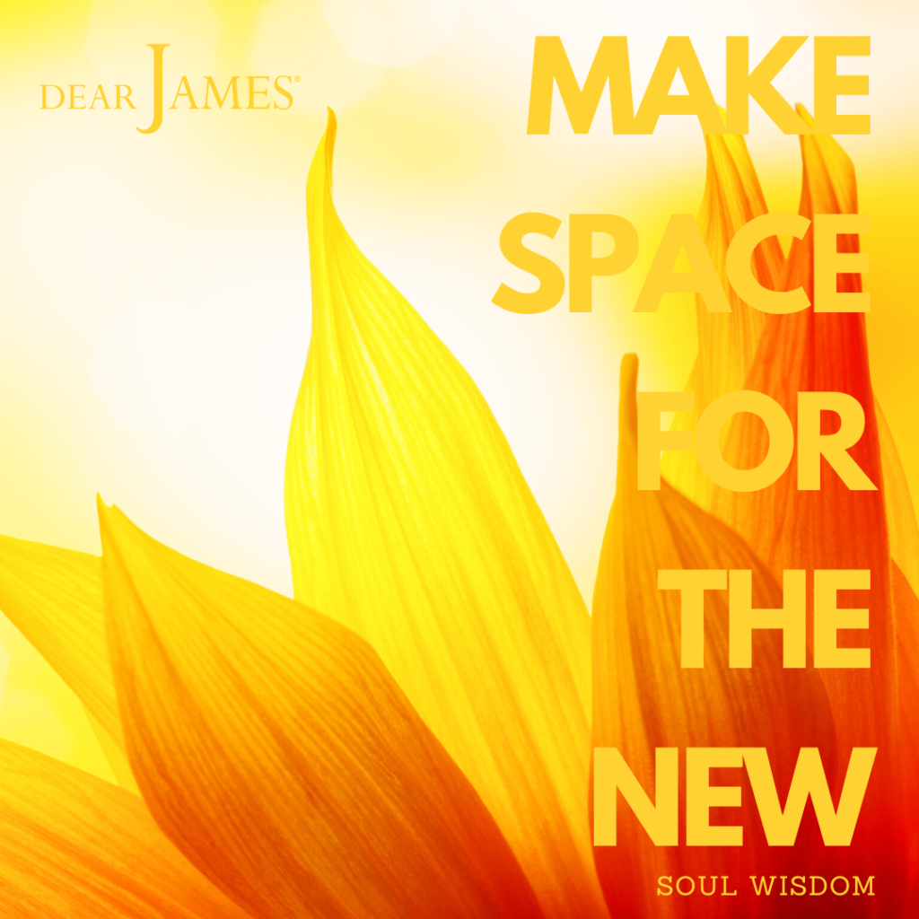 DearJames-Inspiration-Poster-MAKE-SPACE-FOR-THE-NEW-Soul-Wisdom