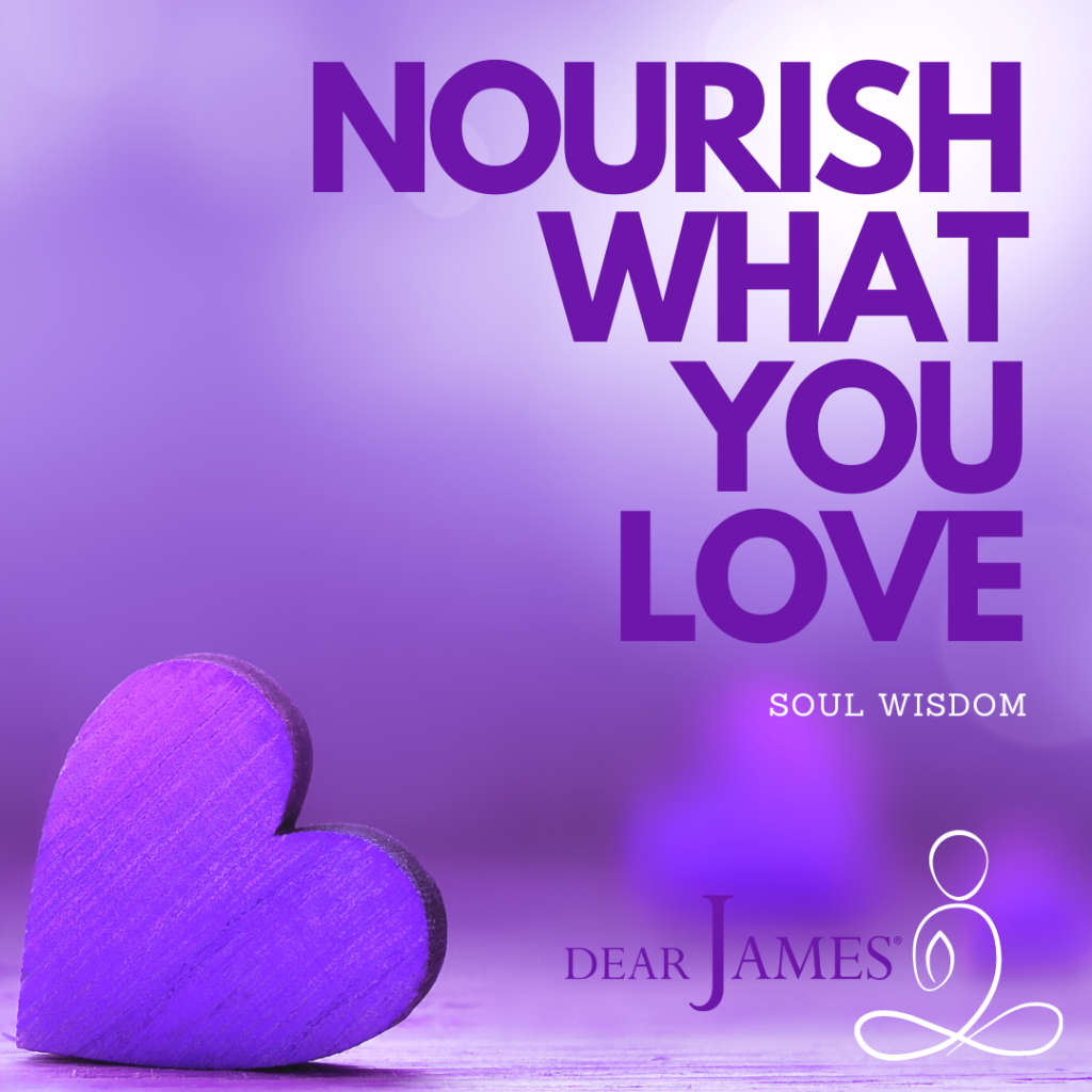 DearJames-Inspiration-Poster-NOURISH-WHAT-YOU-LOVE-Soul-Wisdom