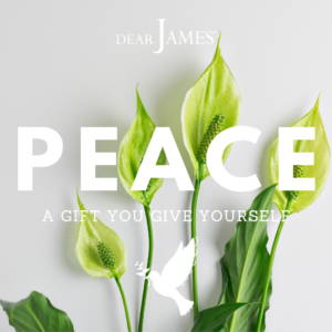 DearJames-Inspiration-Poster-PEACE-A-GIFT-YOU-GIVE-YOURSELF-Soul-Wisdom
