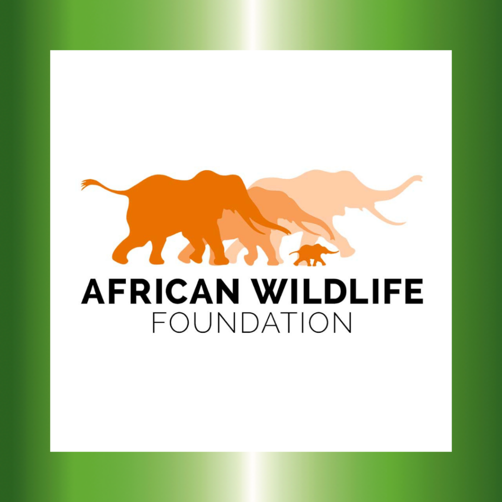 DearJames-Charitable-Giving-African-Wildlife-Foundation