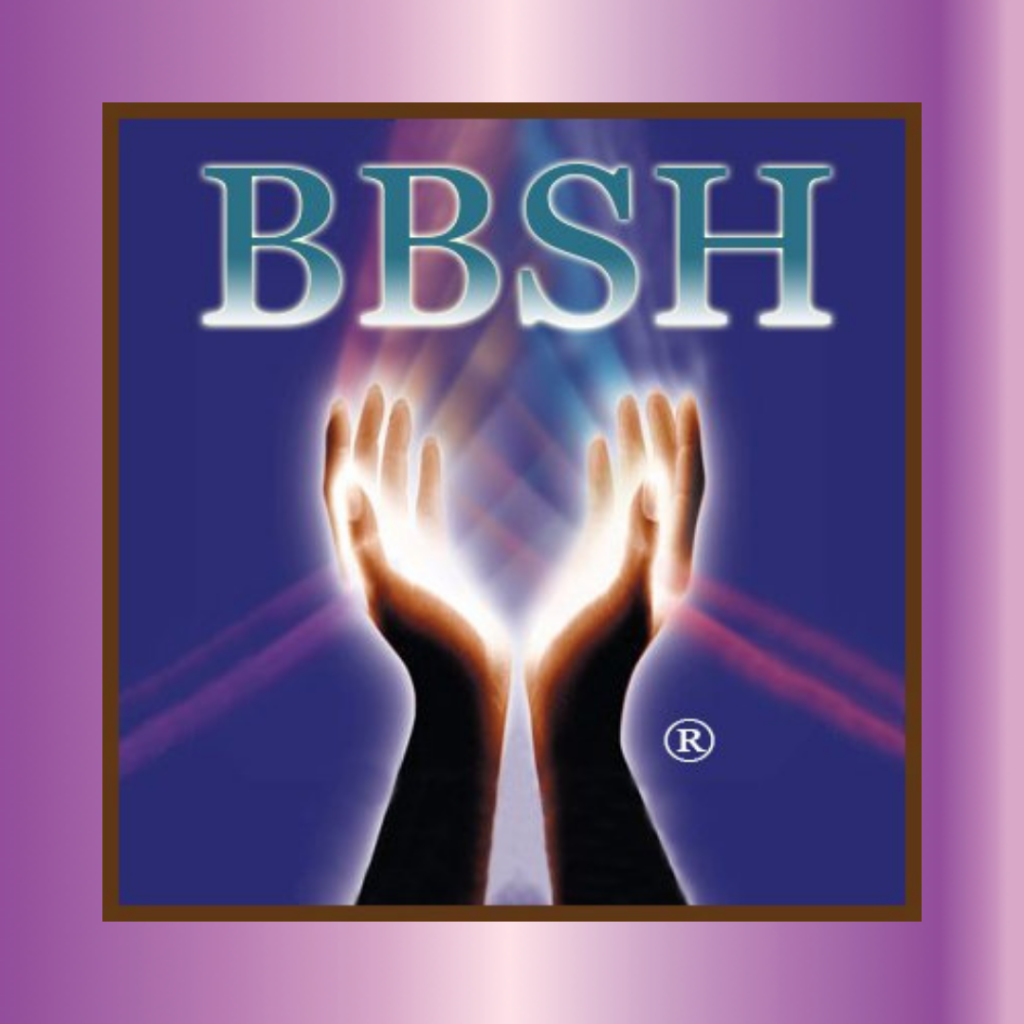 DearJames-Resources-BBSH-Barbara-Brennan-School-Of-Healing