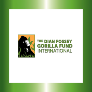 DearJames-Charitable-Giving-The-Dian-Fossey-Gorilla-Fund-International