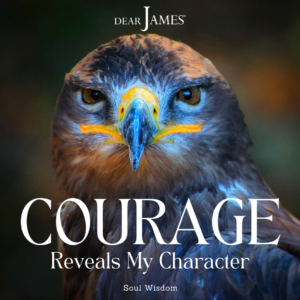 DearJames-Inspiration-Poster-courage-reveals-my-character-Soul-Wisdom