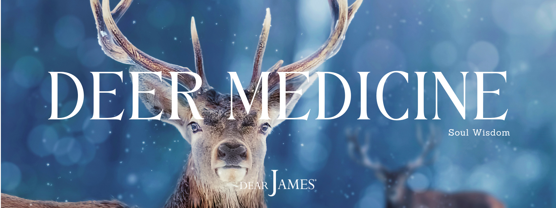 dearjames-deer-medicine-soul-wisdom-inspiration