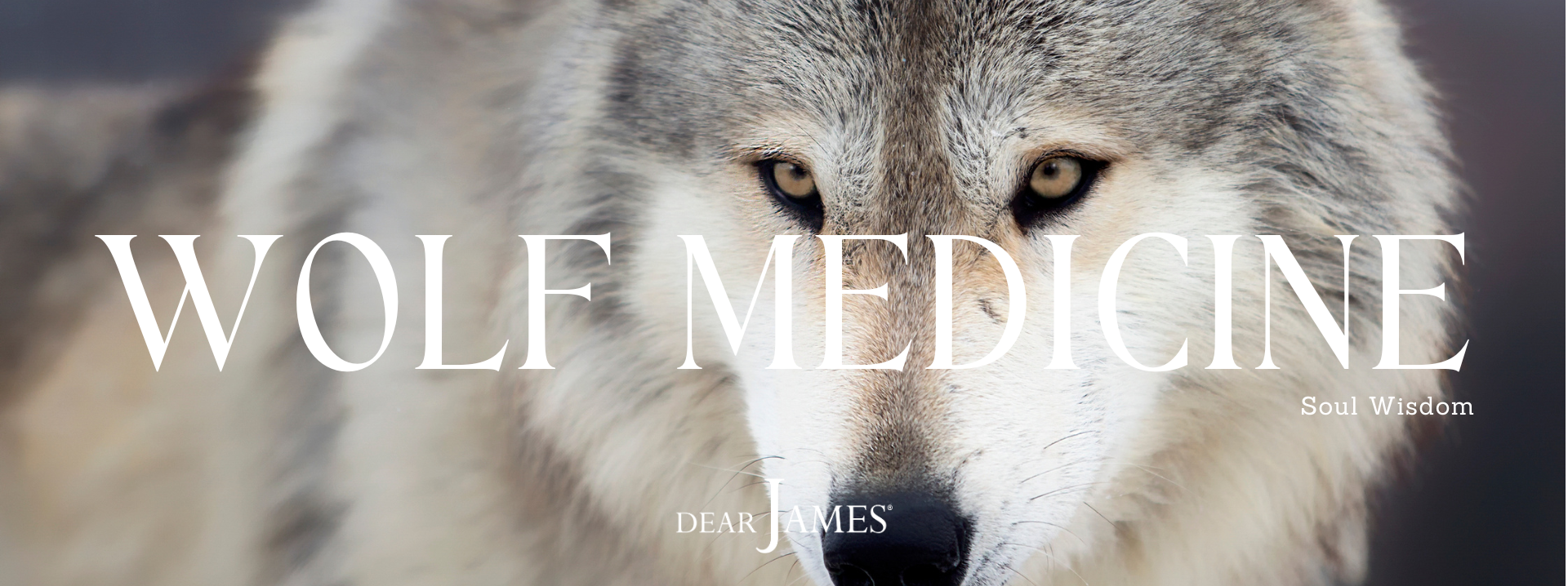 DearJames_wolf-medicine-soul-wisdom