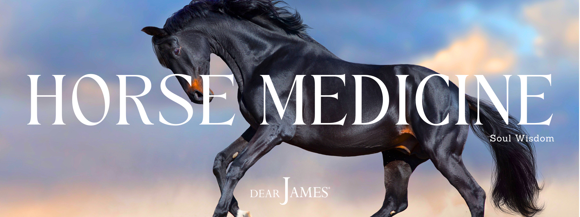 dearjames-horse-medicine-soul-wisdom-inspiration