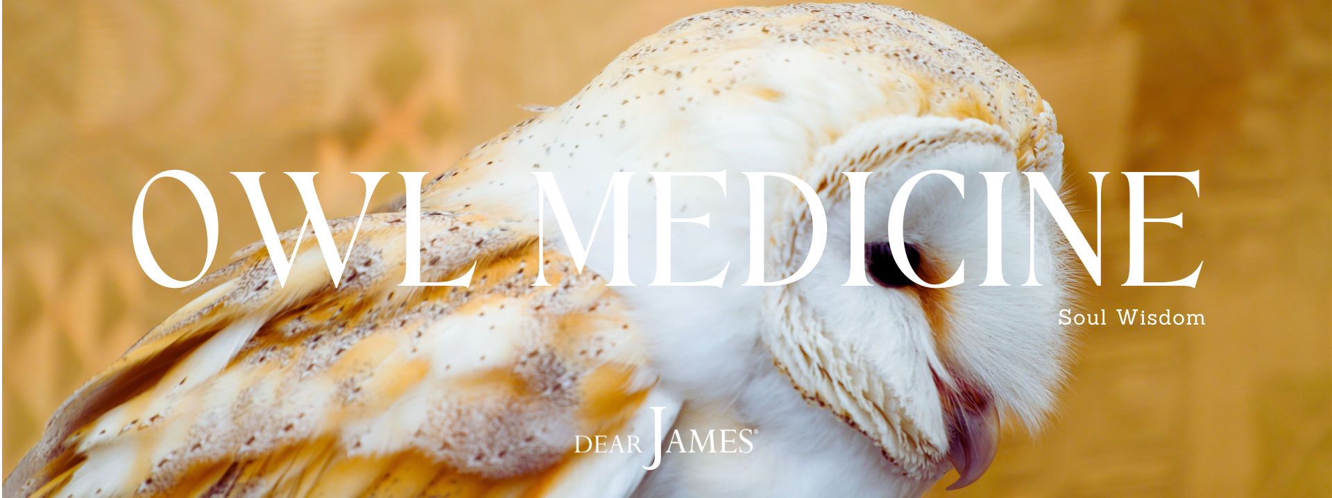 dearjames-owl-medicine-soul-wisdom-inspiration