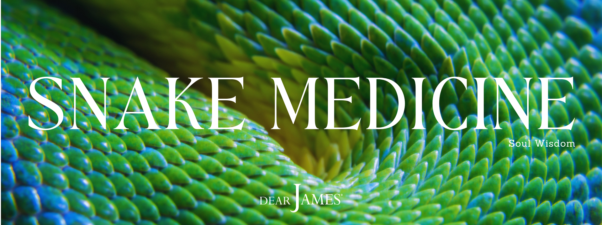 DearJames_snake-medicine-soul-wisdom