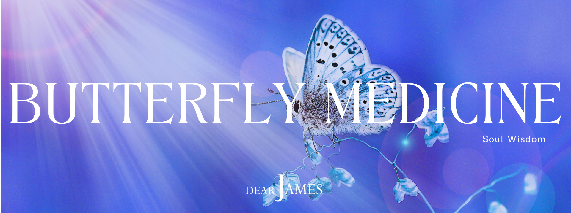 DearJames-butterfly-medicine-soul-wisdom