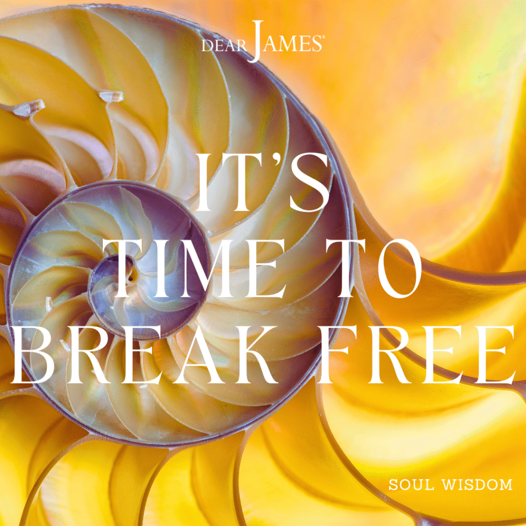 DearJames-Inspiration-Poster-it's-time-to-break-free-Soul-Wisdom