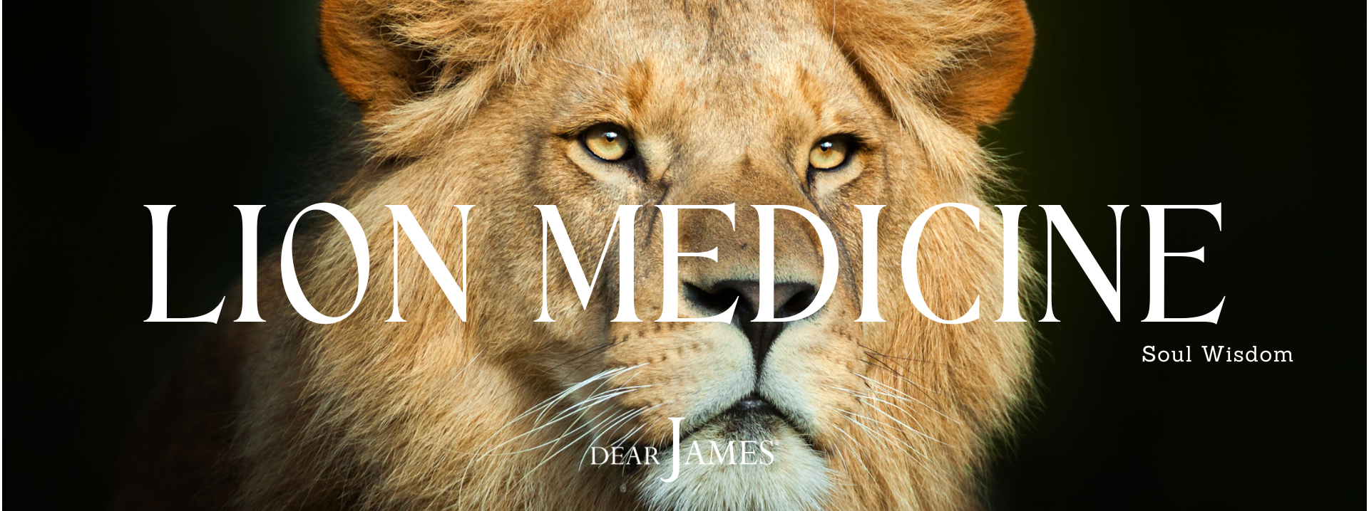 LION MEDICINE