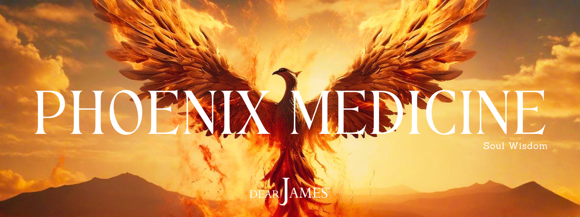 PHOENIX MEDICINE